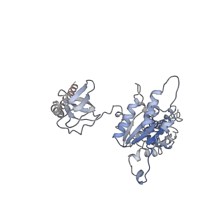 9511_5gjq_H_v1-3
Structure of the human 26S proteasome bound to USP14-UbAl