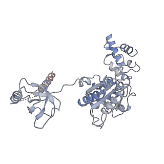 9511_5gjq_I_v1-3
Structure of the human 26S proteasome bound to USP14-UbAl