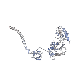 9511_5gjq_J_v1-3
Structure of the human 26S proteasome bound to USP14-UbAl