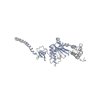 9511_5gjq_K_v1-3
Structure of the human 26S proteasome bound to USP14-UbAl