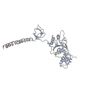 9511_5gjq_M_v1-3
Structure of the human 26S proteasome bound to USP14-UbAl