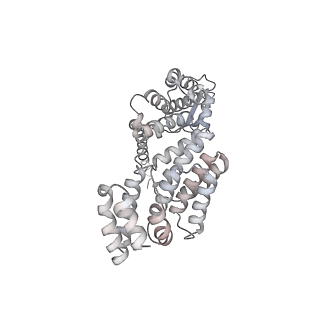 9511_5gjq_O_v1-3
Structure of the human 26S proteasome bound to USP14-UbAl
