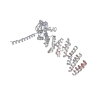 9511_5gjq_P_v1-3
Structure of the human 26S proteasome bound to USP14-UbAl