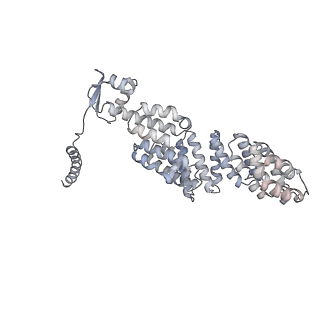 9511_5gjq_Q_v1-3
Structure of the human 26S proteasome bound to USP14-UbAl