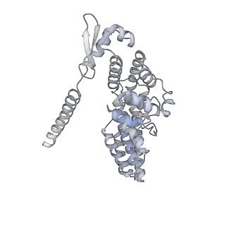 9511_5gjq_R_v1-3
Structure of the human 26S proteasome bound to USP14-UbAl