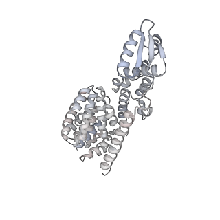 9511_5gjq_S_v1-3
Structure of the human 26S proteasome bound to USP14-UbAl