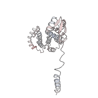 9511_5gjq_T_v1-3
Structure of the human 26S proteasome bound to USP14-UbAl