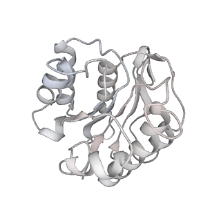 9511_5gjq_W_v1-3
Structure of the human 26S proteasome bound to USP14-UbAl