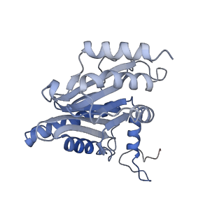 9511_5gjq_X_v1-3
Structure of the human 26S proteasome bound to USP14-UbAl