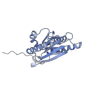 9511_5gjq_a_v1-3
Structure of the human 26S proteasome bound to USP14-UbAl