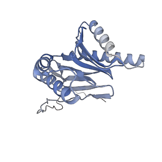 9511_5gjq_b_v1-3
Structure of the human 26S proteasome bound to USP14-UbAl