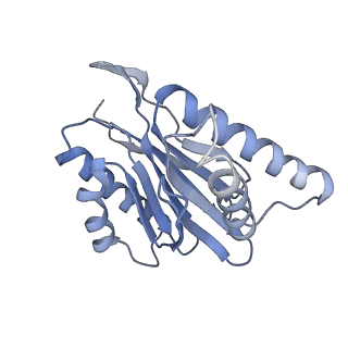 9511_5gjq_d_v1-3
Structure of the human 26S proteasome bound to USP14-UbAl