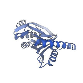 9511_5gjq_e_v1-3
Structure of the human 26S proteasome bound to USP14-UbAl