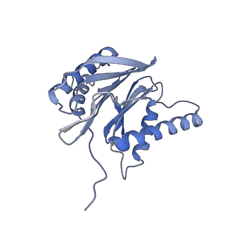 9511_5gjq_f_v1-3
Structure of the human 26S proteasome bound to USP14-UbAl