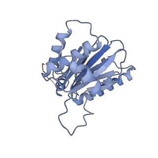 9511_5gjq_h_v1-3
Structure of the human 26S proteasome bound to USP14-UbAl
