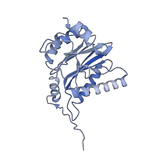 9511_5gjq_i_v1-3
Structure of the human 26S proteasome bound to USP14-UbAl