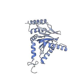 9511_5gjq_j_v1-3
Structure of the human 26S proteasome bound to USP14-UbAl