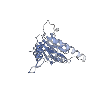 9511_5gjq_k_v1-3
Structure of the human 26S proteasome bound to USP14-UbAl