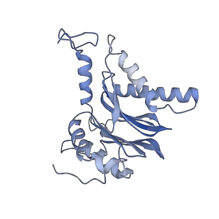 9511_5gjq_m_v1-3
Structure of the human 26S proteasome bound to USP14-UbAl