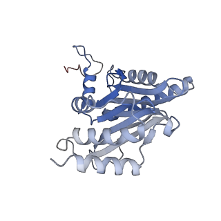 9511_5gjq_n_v1-3
Structure of the human 26S proteasome bound to USP14-UbAl