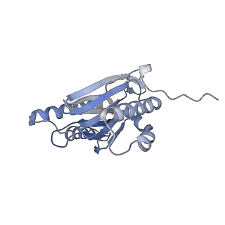 9511_5gjq_o_v1-3
Structure of the human 26S proteasome bound to USP14-UbAl