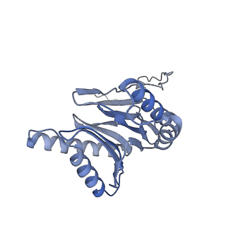 9511_5gjq_p_v1-3
Structure of the human 26S proteasome bound to USP14-UbAl