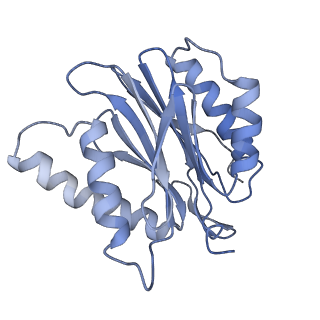 9511_5gjq_q_v1-3
Structure of the human 26S proteasome bound to USP14-UbAl