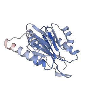 9511_5gjq_r_v1-3
Structure of the human 26S proteasome bound to USP14-UbAl