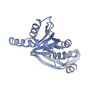 9511_5gjq_s_v1-3
Structure of the human 26S proteasome bound to USP14-UbAl