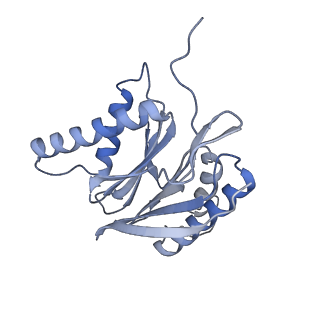9511_5gjq_t_v1-3
Structure of the human 26S proteasome bound to USP14-UbAl