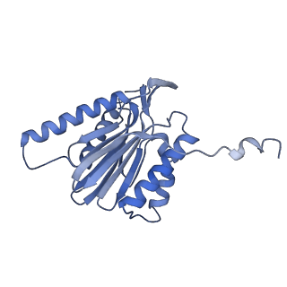 9511_5gjq_u_v1-3
Structure of the human 26S proteasome bound to USP14-UbAl