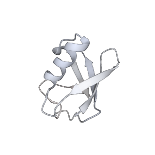 9511_5gjq_y_v1-3
Structure of the human 26S proteasome bound to USP14-UbAl