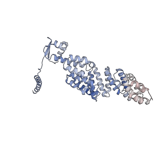 9512_5gjr_4_v1-2
An atomic structure of the human 26S proteasome
