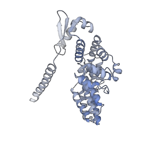 9512_5gjr_5_v1-2
An atomic structure of the human 26S proteasome