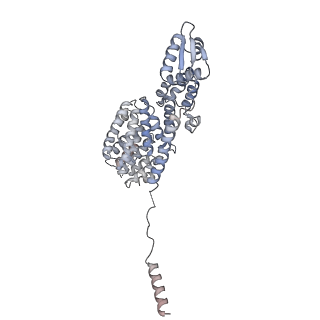 9512_5gjr_6_v1-2
An atomic structure of the human 26S proteasome