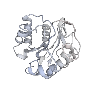 9512_5gjr_AA_v1-2
An atomic structure of the human 26S proteasome