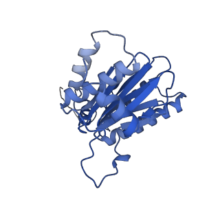 9512_5gjr_B_v1-2
An atomic structure of the human 26S proteasome