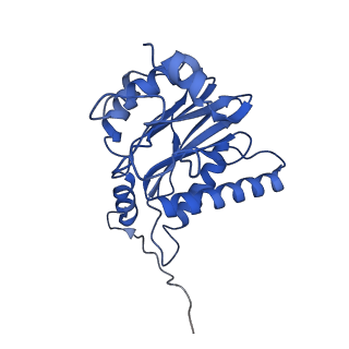 9512_5gjr_C_v1-2
An atomic structure of the human 26S proteasome