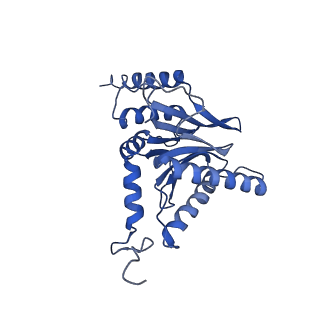 9512_5gjr_D_v1-2
An atomic structure of the human 26S proteasome