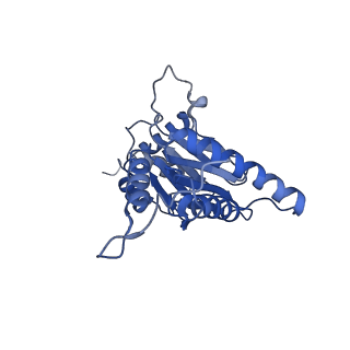 9512_5gjr_E_v1-2
An atomic structure of the human 26S proteasome