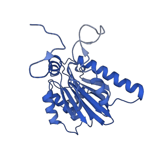 9512_5gjr_F_v1-2
An atomic structure of the human 26S proteasome