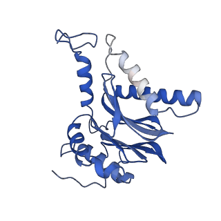 9512_5gjr_G_v1-2
An atomic structure of the human 26S proteasome