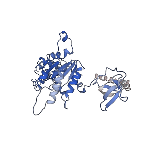 9512_5gjr_H_v1-2
An atomic structure of the human 26S proteasome