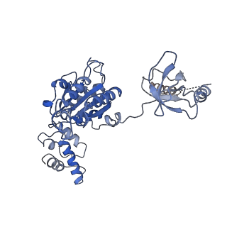 9512_5gjr_I_v1-2
An atomic structure of the human 26S proteasome