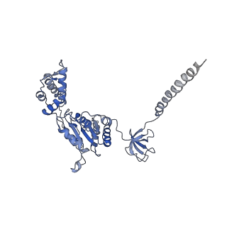 9512_5gjr_L_v1-2
An atomic structure of the human 26S proteasome