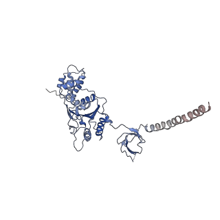 9512_5gjr_M_v1-2
An atomic structure of the human 26S proteasome