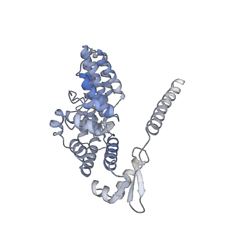 9512_5gjr_R_v1-2
An atomic structure of the human 26S proteasome