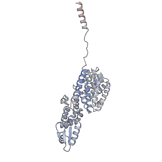 9512_5gjr_S_v1-2
An atomic structure of the human 26S proteasome