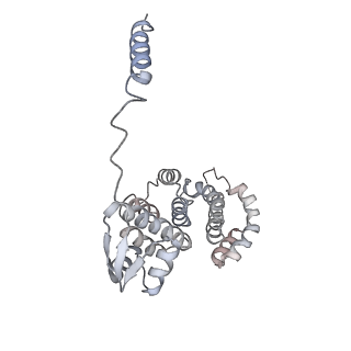 9512_5gjr_T_v1-2
An atomic structure of the human 26S proteasome