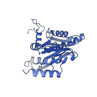 9512_5gjr_X_v1-2
An atomic structure of the human 26S proteasome